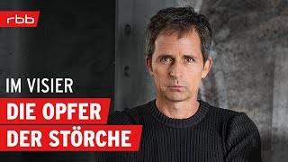 Die Störche  ein teuflisches Verbrecherpaar  Im Visier  TrueCrimePodcast  Folge 78 [upl. by Margy]