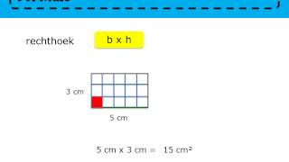 Zo gezegd Zo gerekend 5  les 28 Oppervlakte rechthoek en vierkant [upl. by Shishko887]