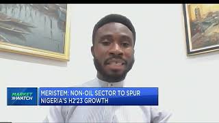 Meristem Nonoil sector to spur Nigerias H223 growth [upl. by Issej]