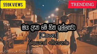 Kandulu Watunu Neth pitu athare Cover ඔය දෑත මේ හිත ඉල්ලනවා Slowed And Reverb [upl. by Aserret223]