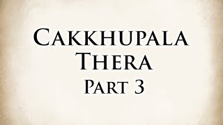 The Blind Monk  Cakkhupala Thera Part 3  Dhammapada V01  Animated Buddhist Stories [upl. by Eseela]