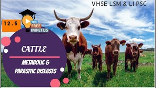 125 METABOLIC DISORDERS AND PARASITIC DISEASES IN CATTLE FOR VHSE LSMDFELIVESTOCK INSPECTOR PSC [upl. by Aun]