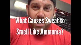 What Causes Sweat to Smell Like Ammonia [upl. by Yanttirb]