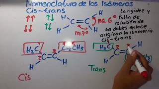 Isomeros Cis  Trans  Química Orgánica [upl. by Atikat]