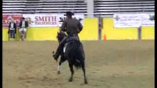 DOMMANDALENA 2010 open level 4 derby champ [upl. by Amsirp]