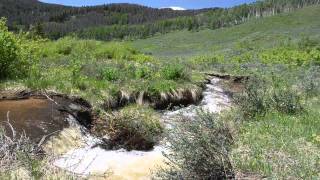 Trail Creek Estates 5 miles west of Lake Granby Colorado [upl. by Russo]