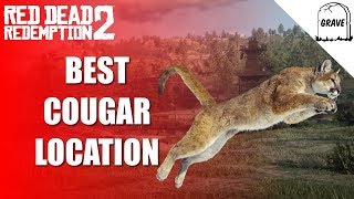 Cougar Location Red Dead Online  Daily Challenge RDR2 [upl. by Bearce267]