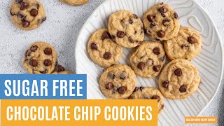 Sugar Free Chocolate Chip Cookies For Diabetics  The Easiest Low Sugar Cookie Recipe Ever [upl. by Ginelle]