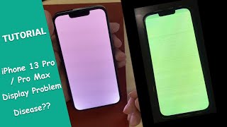 iPhone 13 Pro LCD Bug Fix 【Tutorial】White Green Display Problem [upl. by Katheryn]