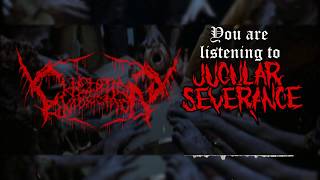 Chelation Intoxication CxIx  Jugular Severance Remake [upl. by Areemas]