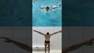 swimmer плавание olympicswimming athlete sports motivation shorts swimming swimmingpool [upl. by Nairad]