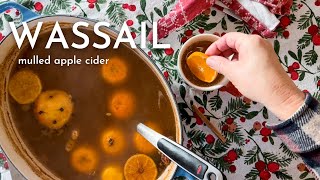 Homemade Wassail hot spiced apple cider perfect for Christmas [upl. by Odnomar]