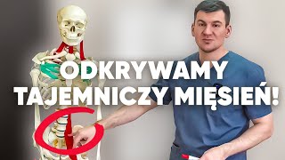 Najważniejszy mięsień Odkryty przez naukowców ZSRR i ukrywany przez 120 lat [upl. by Aihk288]