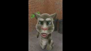 Jack and Rexella Van Impes Pet Cat Missing [upl. by Ahsiloc]