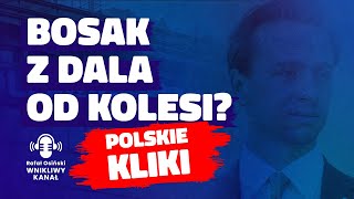 BOSAK Z DALA OD KOLESI POLSKIE KLIKI polityka bosak konfederacja studia krytyka absurd prawo [upl. by Javler]