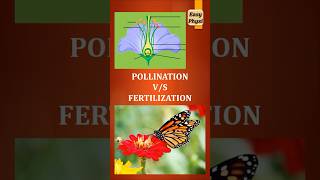 Pollination vs Fertilization Class 10 Reproduction in Plants shorts [upl. by Saqaw212]