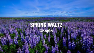 Spring Waltz Mariage dAmour Chopin [upl. by Sihunn]