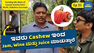 ಇವರು Cashew ಇಂದ Wine ಮತ್ತು Juice ಮಾಡುತ್ತಾರೆ  Best Cashew Farmer in Dakshina Kannada  Ep 21 [upl. by Melva905]