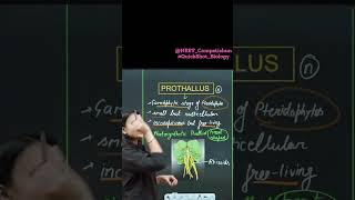 WHAT IS PROTHALLUS  QuickShot Biology neetmedicalentranceneet2025ncertneetpreparationbiology [upl. by Albin]