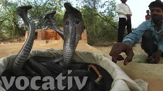 Watch Snake Charmers in 360° [upl. by Ancalin]