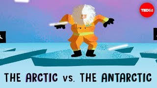 The Arctic vs the Antarctic  Camille Seaman [upl. by Gibson502]