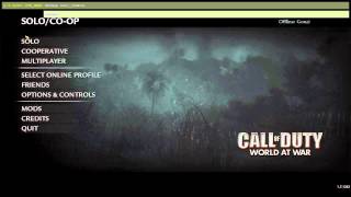 HELP Cod Waw Pc ERROR [upl. by Enyad]