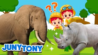 Los Animales Terrestres Más Grandes  Elefante Rinoceronte  JunyTony en español [upl. by Sucrad]