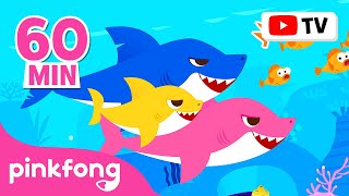 Baby Shark Dance More and More  Doo Doo Doo 60 Min  Baby Shark NonStop  Pinkfong Songs for Kids [upl. by Perle]