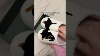 These slippers are so cute🥹🐾 dachshund slippers gift [upl. by Moreta479]