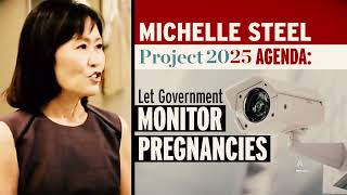 DCCC calls Michelle Steel quotMAGA Michellequot [upl. by Budd]