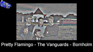 Pretty Flamingo  THE VANGUARDS  Bornholm [upl. by Kcirdneked]