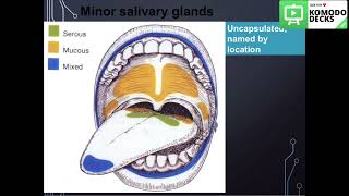 Salivary glands histology practical part 3 [upl. by Leede290]