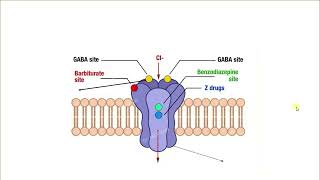 Lec 1part 1 sedatives hypnotics drugs [upl. by Assele858]