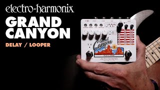 ElectroHarmonix Grand Canyon Delay  Looper Pedal Demo by Bill Ruppert [upl. by Colbye]