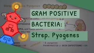 Gram Positive Bacteria Streptococcus Pyogenes [upl. by Ylrae]