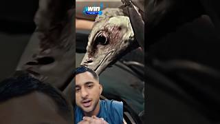 Ya kasy utra gile🤨🤨greenscreen reaction viralvideo [upl. by Fotina486]