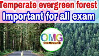 Temperate evergreen forest where it is found shorts reels fact forest [upl. by Rosene]