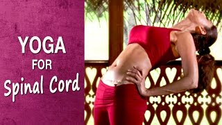 Yoga for Strengthen the diaphragm  Prishthasana  Shilpa Yoga [upl. by Akimahc]