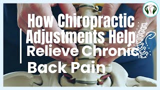 How Chiropractic Adjustments Help Relieve Chronic Back Pain – Dr P S Neogi Explains [upl. by Diannne]