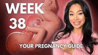 38 Weeks Pregnant  Baby Development amp What To Expect [upl. by Otreblon]