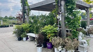 Garden Nursery Tour with plant names amp music  Whats beautiful and blooming in June 🌸💐🪴🌱 [upl. by Lindeberg265]