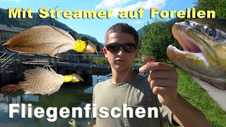 Mit Streamer auf Forellen angeln  Fliegenfischen  Fischen auf Forellen am Bach mit Streamer [upl. by Atinad212]