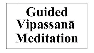 Vipassanā Meditation Guided Meditation for Beginners Meditate daily [upl. by Ecital]