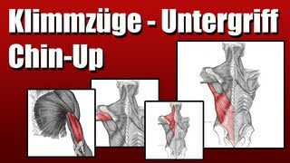 How 2 Klimmzüge  Unterhandgriff ChinUps [upl. by Artinak]