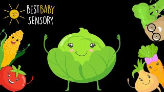 Best Baby Sensory  Festive Friendly Veggies  High Contrast Animation For Babies [upl. by Harned176]