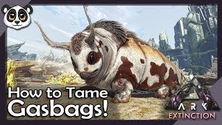 How To Tame Gasbags  ARK Extinction [upl. by Merrily961]