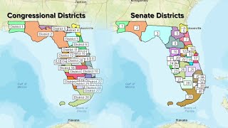 Floridas takes first step in drawing new congressional maps [upl. by Dyrraj]