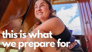 This is what we prepare for Homesteading after the Hurricane  VLOG [upl. by Ahseuqal]