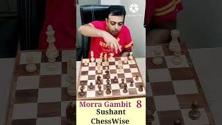 Morra Gambit  8 shorts chessshorts [upl. by Riane]