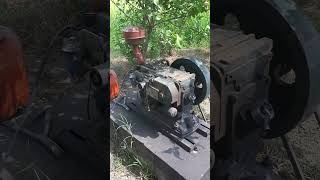 Peter engine 25hp full power engine🔥shorts agriculture viralvideo [upl. by Onra713]